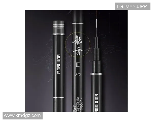 渔具选购指南：如何根据不同水域和鱼种选择合适的钓具装备