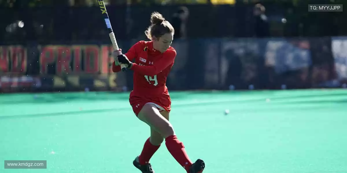 🎯精准定制,专属你的运动装备库!🔧